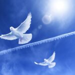 【認知再構築】家族から騙された悲しみや苦しみが自分の強さに変わってきた