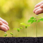 トラウマ克服において最も重要な３つのこと！